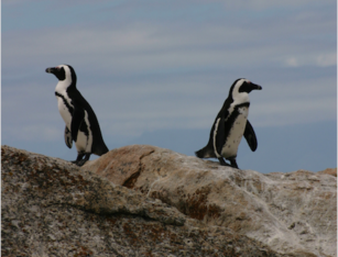 嫉妬 にどう対応するか ひさのステーション